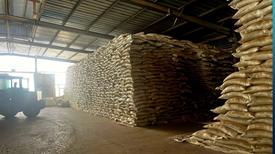 FISHMEAL